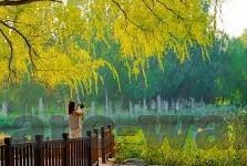 310直播足球比分-310直播足球比分，实时追踪绿茵激情，解锁观赛新体验