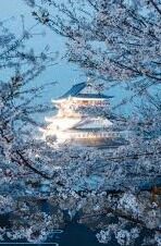 历届世界杯海报 高清-历届世界杯海报 高清，足球盛宴的视觉盛宴